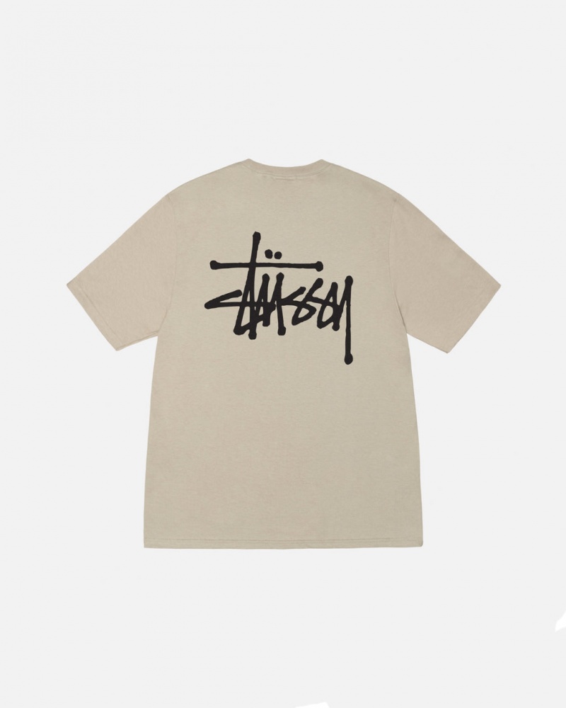 Stussy Basic Stussy Tee Moški T Shirt Kaki Slovenija | NWC-3659