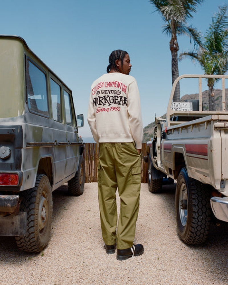 Stussy Beach Pant Ripstop Cargo Ženski Hlače Rjave Slovenija | RWL-1646