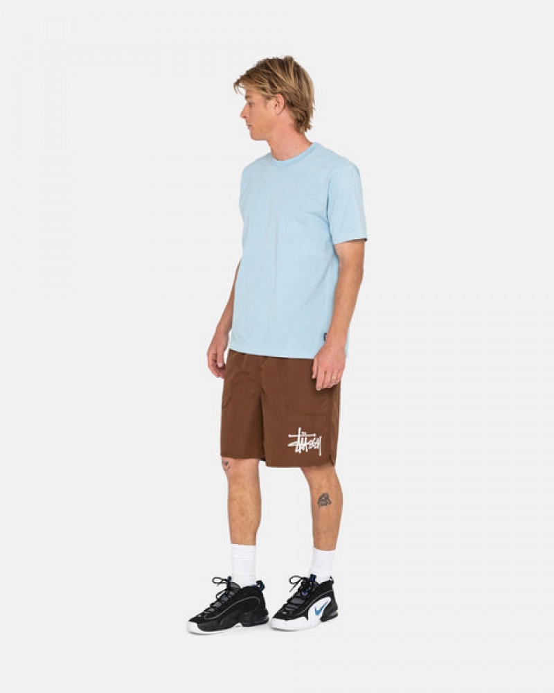 Stussy Big Basic Water Short Moški Kopalke Kava Slovenija | MDU-5905