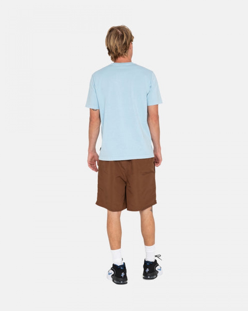 Stussy Big Basic Water Short Moški Kopalke Kava Slovenija | MDU-5905