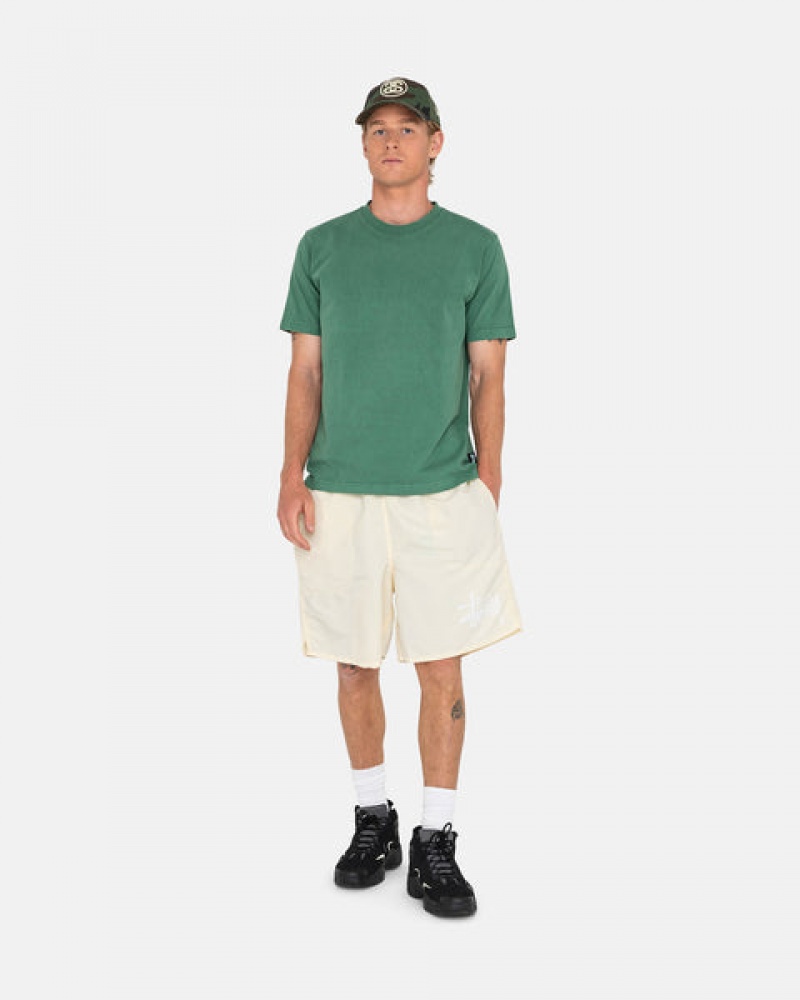 Stussy Big Basic Water Short Moški Kopalke Kremna Slovenija | XZR-7560