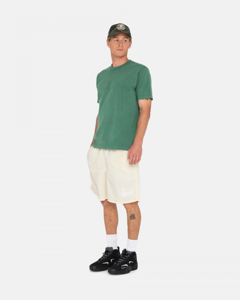 Stussy Big Basic Water Short Moški Kopalke Kremna Slovenija | XZR-7560