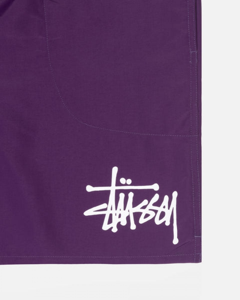 Stussy Big Basic Water Short Moški Kopalke Fuksije Slovenija | EXM-0759