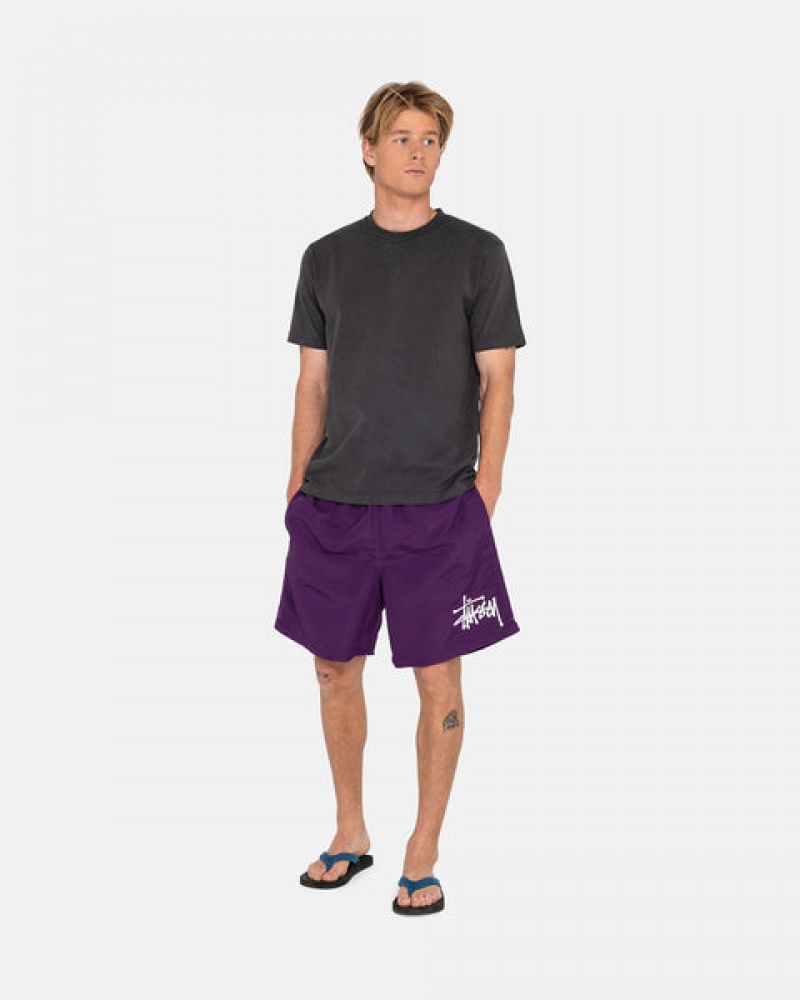 Stussy Big Basic Water Short Moški Kopalke Fuksije Slovenija | EXM-0759