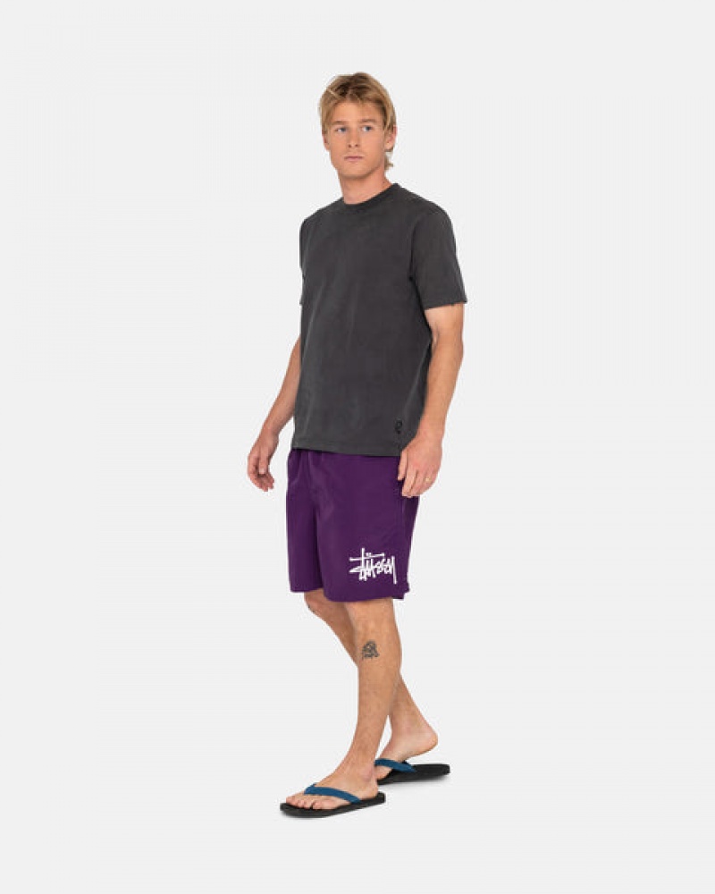 Stussy Big Basic Water Short Moški Kopalke Fuksije Slovenija | EXM-0759