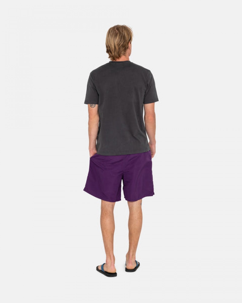 Stussy Big Basic Water Short Moški Kopalke Fuksije Slovenija | EXM-0759