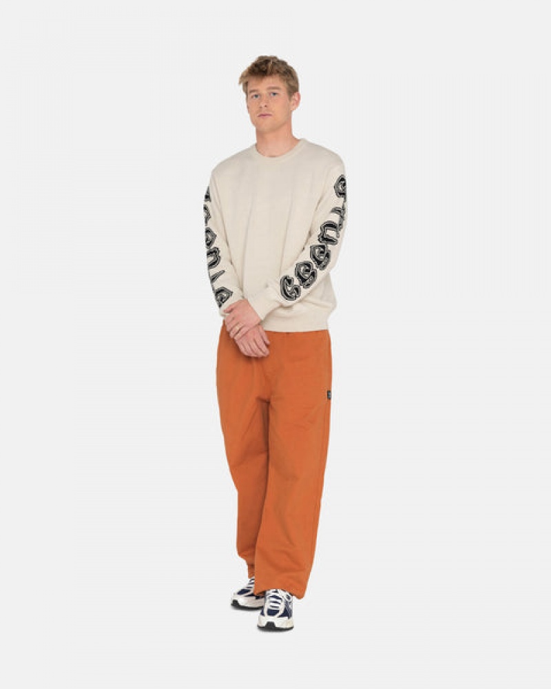 Stussy Brushed Beach Pant Moški Hlače Rjave Slovenija | AWP-3359