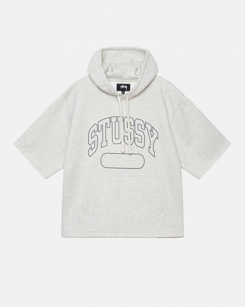 Stussy Ss Boxy Cropped Hoodie Moški Pulover s Kapuco Sive Slovenija | BYN-5630