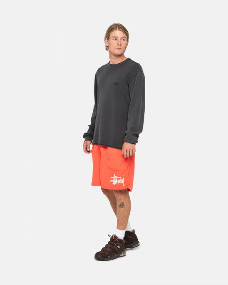 Stussy Water Short Big Basic Moški Kratke Hlače Koralne Slovenija | WCO-8246