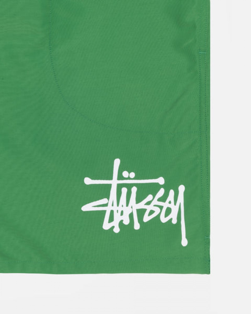 Stussy Water Short Big Basic Moški Kratke Hlače Zelene Slovenija | KPY-3950